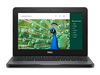 Dell Chromebook 3120 (2024) - 11.6" - Intel N-series - N100 - 8 GB RAM - 64 GB eMMC 4M4HV