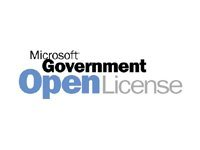 Microsoft Office Professional Enterprise Edition - Licens- och programvaruförsäkring - 1 PC - REG - OLP: Government - Win 269-08812