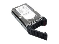 Lenovo Enterprise Direct Connect - Hårddisk - 500 GB - inbyggd - 3.5" - SATA 6Gb/s - 7200 rpm - för ThinkServer TD340 (3.5", non-hot-swap); TS140 (3.5"); TS440 (3.5") 0C19501