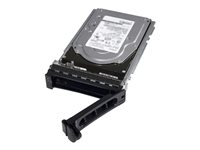 Dell - Kundsats - SSD - Read Intensive - 960 GB - 512e - 2.5" (i 3,5-tums hållare) - SATA 6Gb/s 345-BJTY